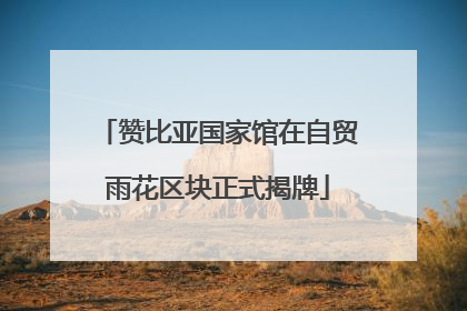 赞比亚国家馆在自贸雨花区块正式揭牌